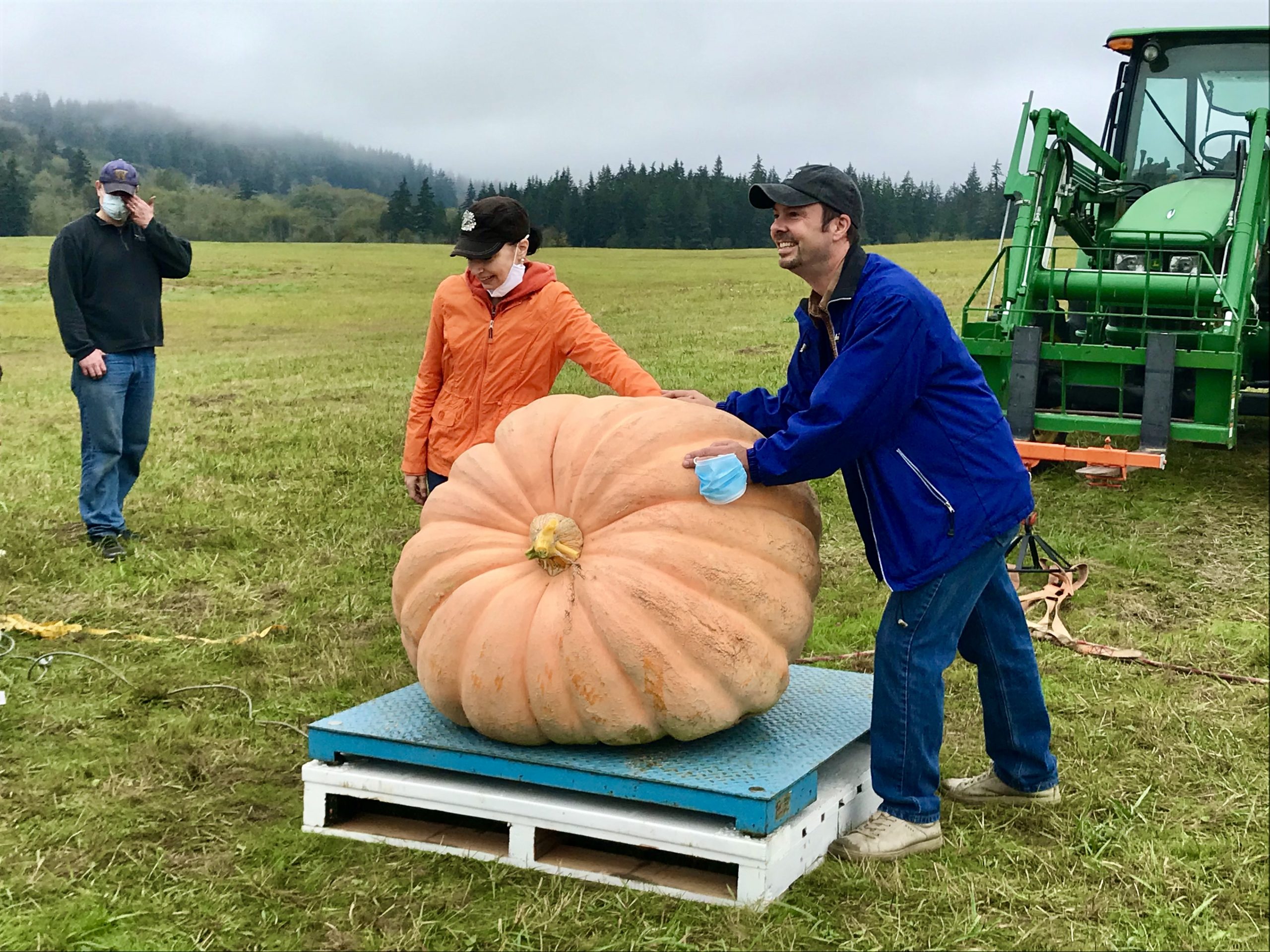 Giant Pumpkins October 2